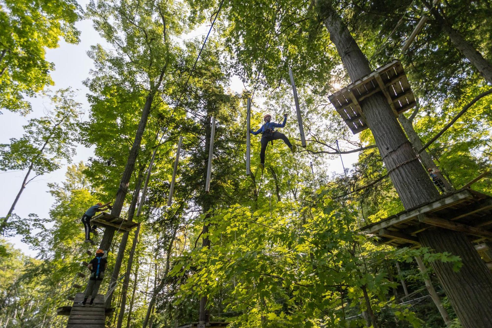 Hotel The Westin Trillium House, Blue Mountain 4*